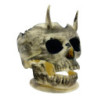 Cenicero Calavera Colmillos