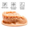 Resina Elegoo Dental Uv | DroPix 3D