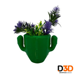 Maceta Cactus