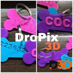 Identificacion Mascota