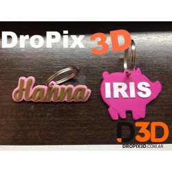 Identificacion Mascota