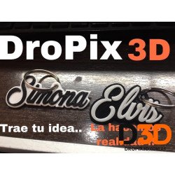 Identificacion Mascota